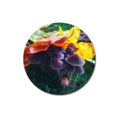 Mushrooms Magnet 3  (round) by okhismakingart