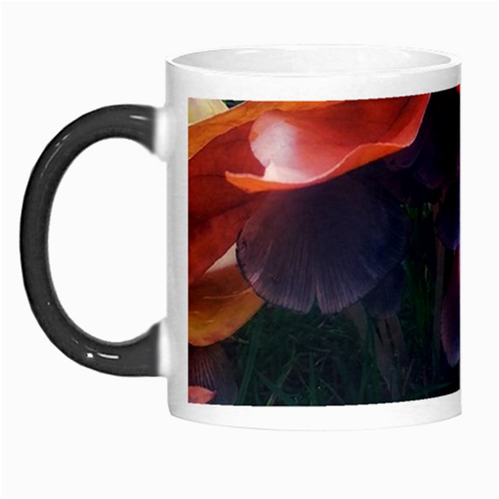 Mushrooms Morph Mugs