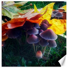 Mushrooms Canvas 12  X 12  by okhismakingart