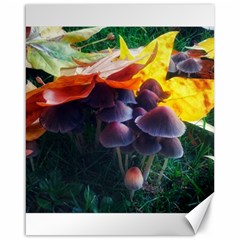 Mushrooms Canvas 16  X 20  by okhismakingart