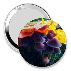 Mushrooms 3  Handbag Mirrors by okhismakingart