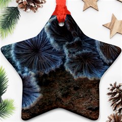 Tree Fungus Ornament (star) by okhismakingart