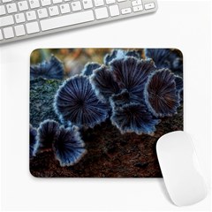 Tree Fungus Large Mousepads by okhismakingart