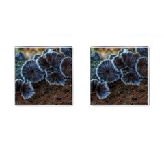 Tree Fungus Cufflinks (square) by okhismakingart