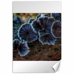 Tree Fungus Canvas 12  X 18  by okhismakingart