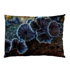 Tree Fungus Pillow Case by okhismakingart