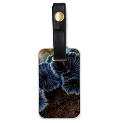 Tree Fungus Luggage Tags (one Side)  by okhismakingart