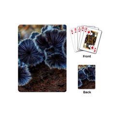 Tree Fungus Playing Cards (mini) by okhismakingart