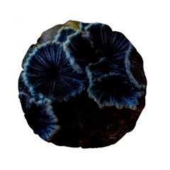 Tree Fungus Standard 15  Premium Round Cushions by okhismakingart