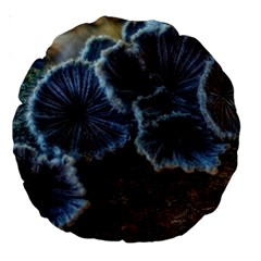 Tree Fungus Large 18  Premium Round Cushions by okhismakingart