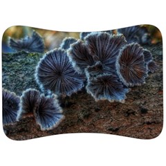 Tree Fungus Velour Seat Head Rest Cushion by okhismakingart