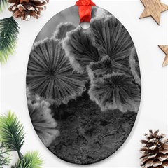 Tree Fungus Black And White Ornament (oval) by okhismakingart