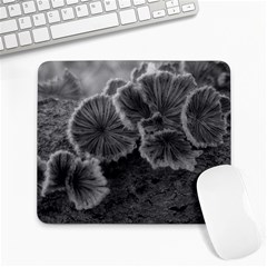 Tree Fungus Black And White Large Mousepads by okhismakingart