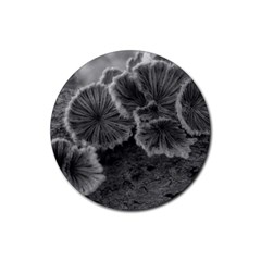 Tree Fungus Black And White Rubber Round Coaster (4 Pack)  by okhismakingart