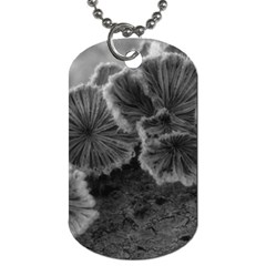 Tree Fungus Black And White Dog Tag (two Sides) by okhismakingart