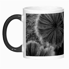 Tree Fungus Black And White Morph Mugs by okhismakingart