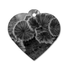 Tree Fungus Black And White Dog Tag Heart (two Sides) by okhismakingart