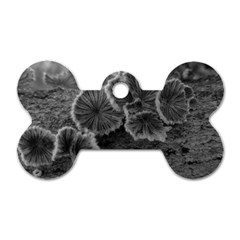 Tree Fungus Black And White Dog Tag Bone (two Sides) by okhismakingart