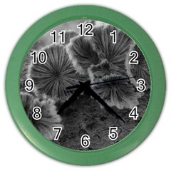 Tree Fungus Black And White Color Wall Clock by okhismakingart