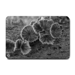 Tree Fungus Black And White Small Doormat  by okhismakingart