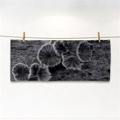 Tree Fungus Black And White Hand Towel by okhismakingart