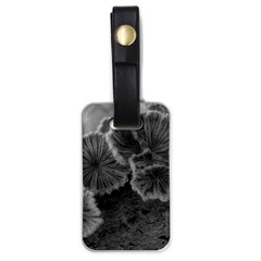 Tree Fungus Black And White Luggage Tags (one Side)  by okhismakingart