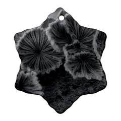 Tree Fungus Black And White Ornament (snowflake) by okhismakingart