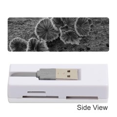 Tree Fungus Black And White Memory Card Reader (stick) by okhismakingart