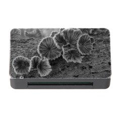 Tree Fungus Black And White Memory Card Reader With Cf by okhismakingart