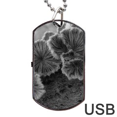 Tree Fungus Black And White Dog Tag Usb Flash (one Side) by okhismakingart