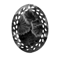 Tree Fungus Black And White Oval Filigree Ornament (two Sides) by okhismakingart