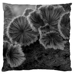 Tree Fungus Black And White Large Cushion Case (two Sides) by okhismakingart