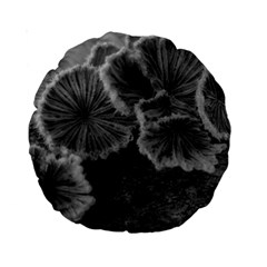 Tree Fungus Black And White Standard 15  Premium Round Cushions by okhismakingart