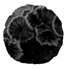 Tree Fungus Black And White Large 18  Premium Round Cushions by okhismakingart