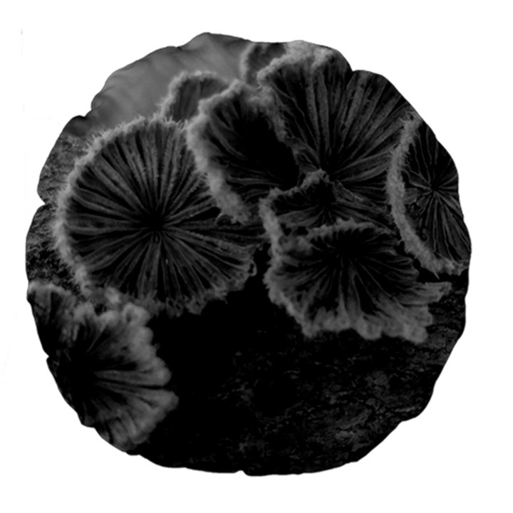 Tree Fungus Black and White Large 18  Premium Round Cushions