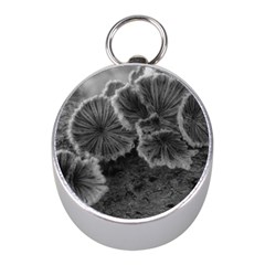 Tree Fungus Black And White Mini Silver Compasses by okhismakingart