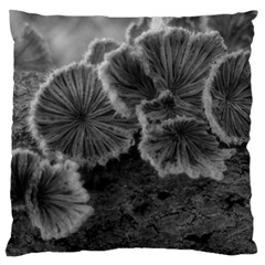 Tree Fungus Black And White Standard Flano Cushion Case (one Side) by okhismakingart