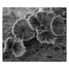 Tree Fungus Black And White Double Sided Flano Blanket (small)  by okhismakingart