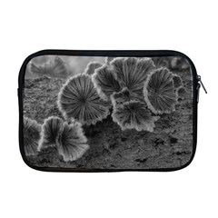 Tree Fungus Black And White Apple Macbook Pro 17  Zipper Case by okhismakingart