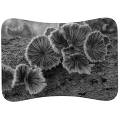 Tree Fungus Black And White Velour Seat Head Rest Cushion by okhismakingart