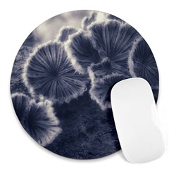 Tree Fungus Ii Round Mousepads by okhismakingart