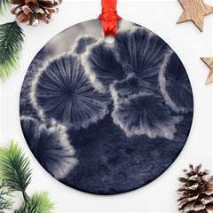 Tree Fungus Ii Ornament (round) by okhismakingart