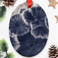 Tree Fungus Ii Ornament (oval) by okhismakingart