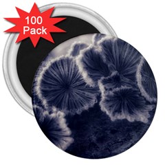 Tree Fungus Ii 3  Magnets (100 Pack) by okhismakingart