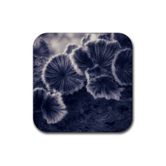 Tree Fungus Ii Rubber Coaster (square)  by okhismakingart