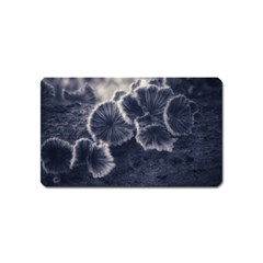 Tree Fungus Ii Magnet (name Card) by okhismakingart