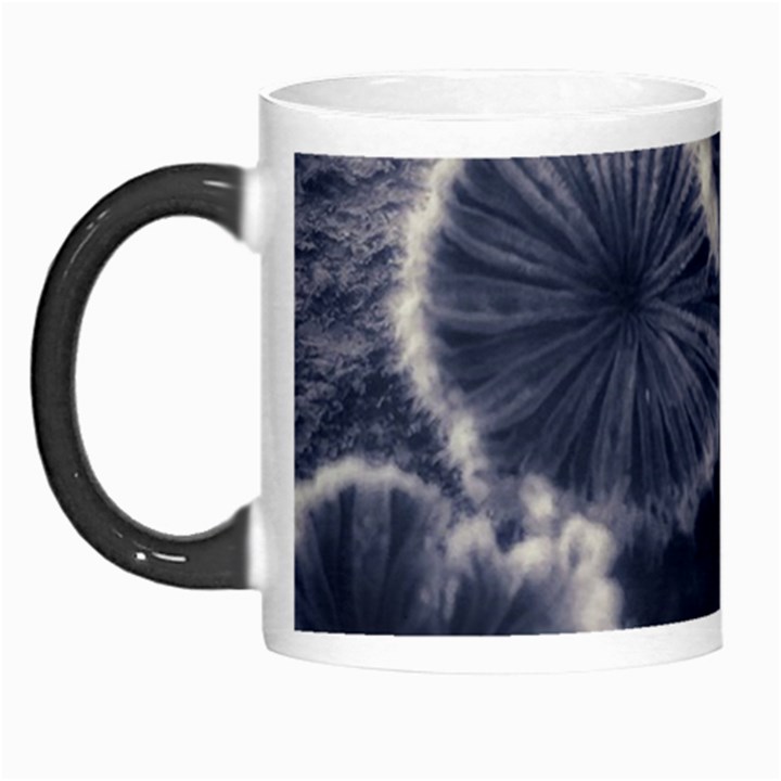 Tree Fungus II Morph Mugs