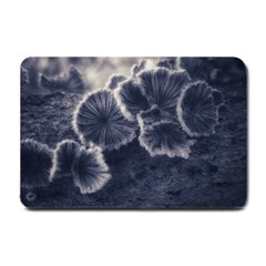 Tree Fungus Ii Small Doormat  by okhismakingart