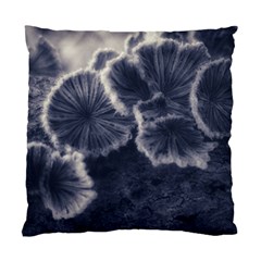 Tree Fungus Ii Standard Cushion Case (one Side) by okhismakingart