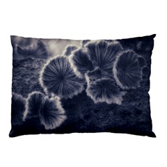 Tree Fungus Ii Pillow Case by okhismakingart